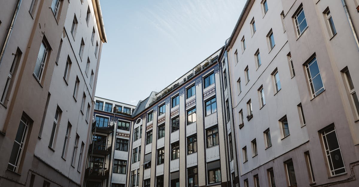 Vermietungsfit in Rekordzeit: Smarte Renovierungsideen für mehr Nachfrage und weniger Leerstand