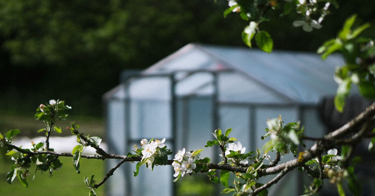 Grünes Projekt: Baue dein robustes Polycarbonat-Gewächshaus – Schritt für Schritt zum Ernteparadies