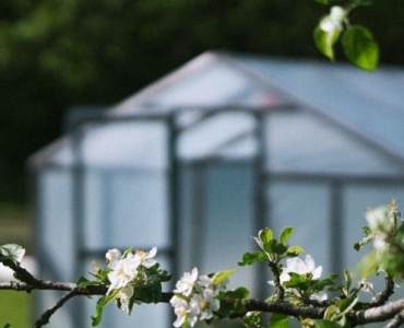 Grünes Projekt: Baue dein robustes Polycarbonat-Gewächshaus – Schritt für Schritt zum Ernteparadies