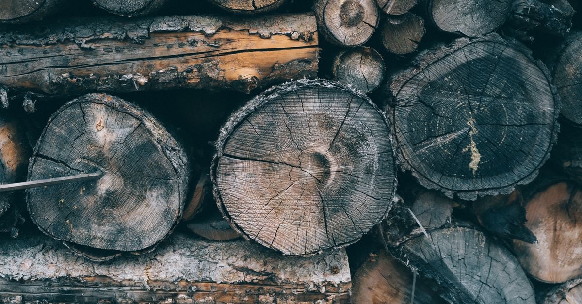 Vom Baumstamm zur Wellnessoase: Deine Gartensauna aus Blockstämmen selbst gebaut