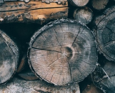 Vom Baumstamm zur Wellnessoase: Deine Gartensauna aus Blockstämmen selbst gebaut