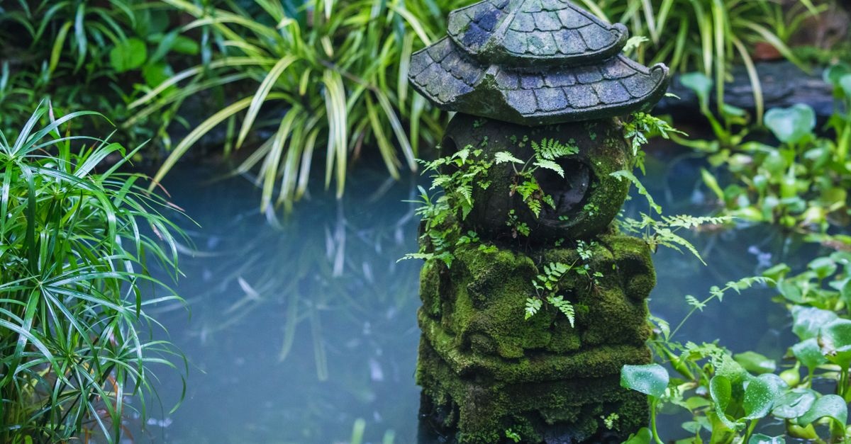 Kleiner Garten, große Ruhe: Dein natürlicher Gartenteich ganz ohne Pumpe