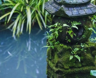 Kleiner Garten, große Ruhe: Dein natürlicher Gartenteich ganz ohne Pumpe